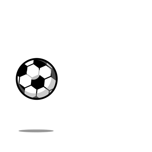 Sports Equipment